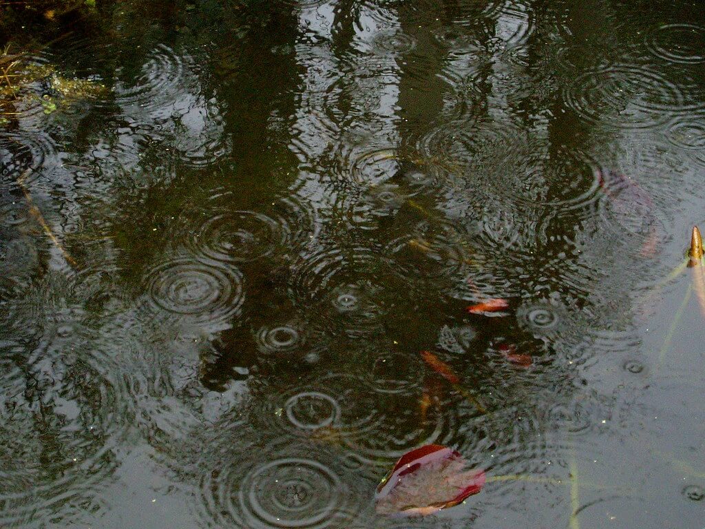 rainwater harvesting type