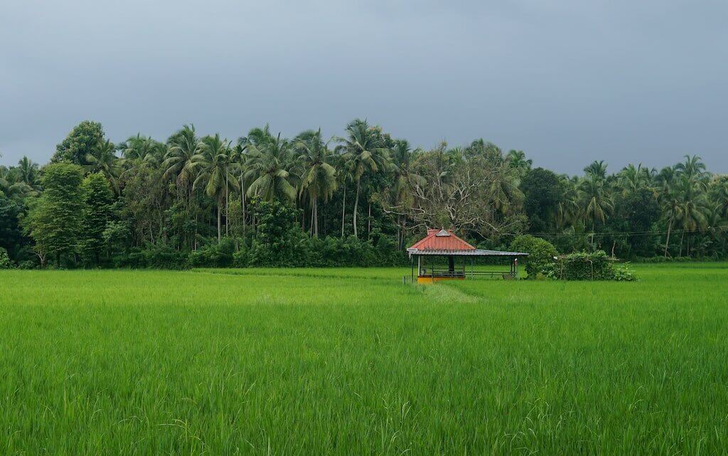 rainwater harvesting in palakkad