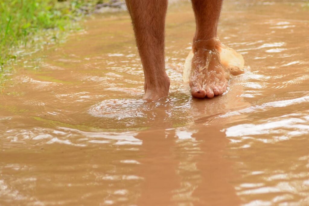 Where Does Rainwater Go